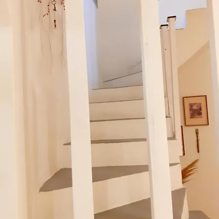 M.houses1 *
